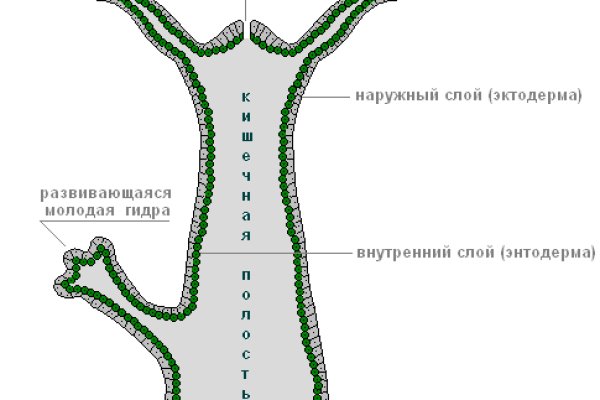 Ссылка на сайт кракен в тор