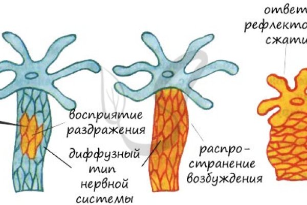 Kraken ссылка tor официальный сайт